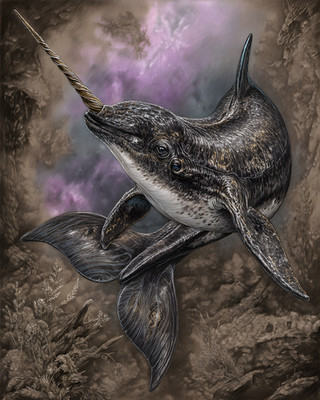 8x10 Wildlife Nature Art Print - 205920365