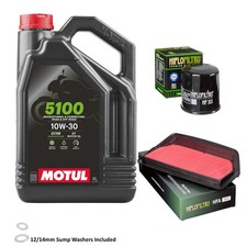 CBR1100 XX BlackBird Air Oil Filter Kit Motul 5100 10w30 4L Honda CBR1100 2001