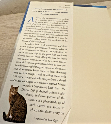 Divine Life of Animals : One Man's Quest to Discover Whether the Souls of... - Picture 3 of 7