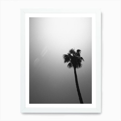Palm Tree Print 1 Art Print Framed Wall Art Poster Canvas Print Picture