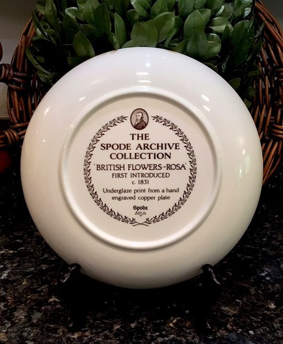 Spode Blue Room Garden ROSÁ 8” Individual Pasta Bowl Pink & Brown PRISTINE! - Picture 2 of 4