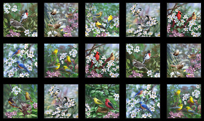 Birds Flowers Fabric Bird Tweethearts Black Cotton Elizabeths Studio 24'' Panel