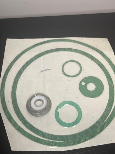 Worthington Ogaskt-05 D-1000 Dichtung Reparatursatz NEU - Bild 3 von 4