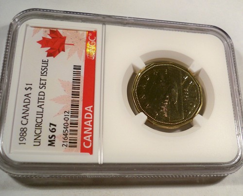 Canada Loon Dollar 1988 NGC MS67 sin circular como nuevo emisión MS 67 $1 - Imagen 3 de 4