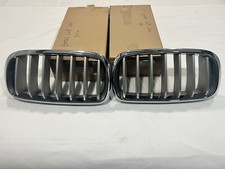 Bmw Silver Kidney Grille Left And Right Side 51-71-2-334-708 51 71 2 334 710 Bmw Silver Kidney Grille Left And Right Side 51-71-2-334-708 51 71 2 334 710