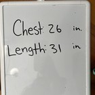 Picture 12 of 12