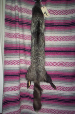 FURS HIDES PELTS TANNED FUR HIDE PELT / RANCH RAISED SILVER FOX 4 /grade 2