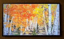 Samsung 32" The Frame QLED HDR LS03C TV Practically New 