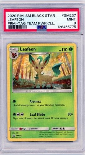 Pokémon - Leafeon Tag Team Power Collection Black Star Promo #SM237 PSA 9