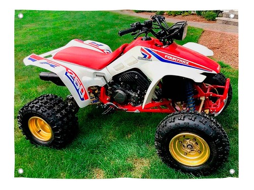 Honda Fourtrax 250R 1986 TRX QUAD BANNER restaurado fabricante de equipos originales todo terreno - Imagen 4 de 6
