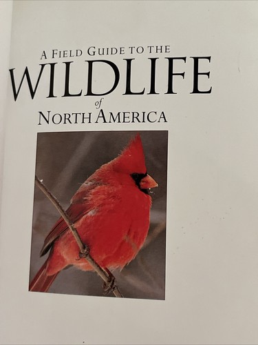 Bundle Lot Field Guide Books Birds Tree Wildlife Audubon Peterson Golden Nature - Picture 21 of 24