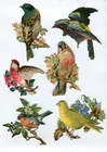 Glossy Picture Wafer Scraps Animals Birds Flowers 10cm
