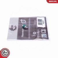 Esen SKV Reparatursatz Saugrohrmodul 49SKV546 FüR BMW 5Er F10 Touring F11 3Er X1