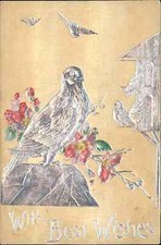 Stewart & Woolf Best Wishes Pigeon Dove Birdhouse Silver c1910 Postcard