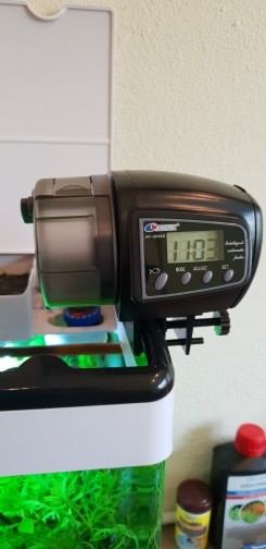 Aquarium Pharmaceuticals Rena Lg100 Automatic Fish Feeder For Sale