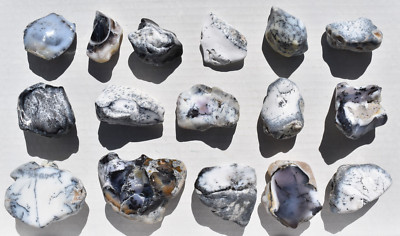 WHOLESALE Dendritic Opal Polished Stones from Turkey 16 pcs 1 kg # 5756