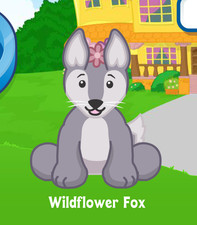 Webkinz Wildflower Fox Virtual Adoption Code Only Messaged Webkinz Purple Fox