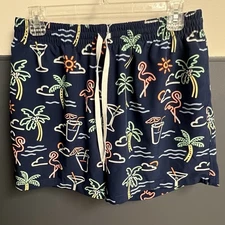 Chubbies The Neon Lights Classic Swim Trunks Sz L Large Shorts Lined 5.5” Inseam