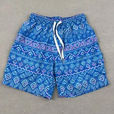 Chubbies Swim Trunks Shorts Mens Small Blue Geometric Mesh Lined Drawstring S