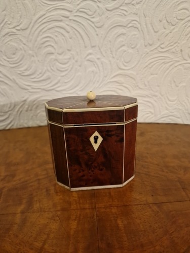 A Regency Bur Wood Decagon Teedose