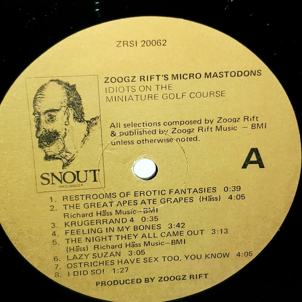 ZOOGZ RIFT'S MICRO MASTODONS Idiots on Miniature Golf Course 1979 LP VG+ - Image 3 of 4