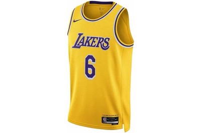 AUTHENTIC Nike LeBron James Lakers Icon Edition Jersey Swingman