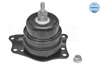 Meyle Lagerung Motor Rechts FüR VW Polo 6R 6C 9N_ Fox 5Z1 5Z3 9A4 9A2 9N2