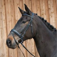 Kieffer Ergonomic Snaffle Bridle & Reins