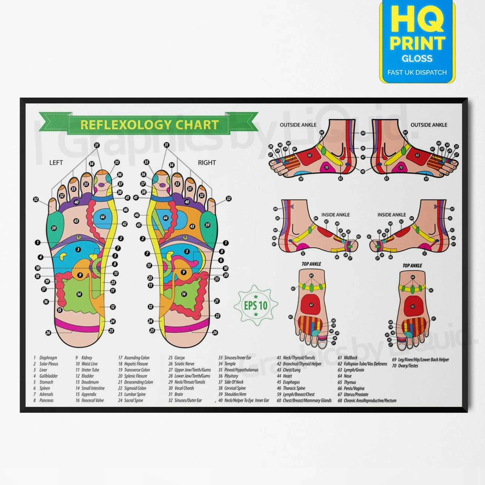 Foot Reflexology Colour Coded Massage Anatomy Chart Poster Laminate V3