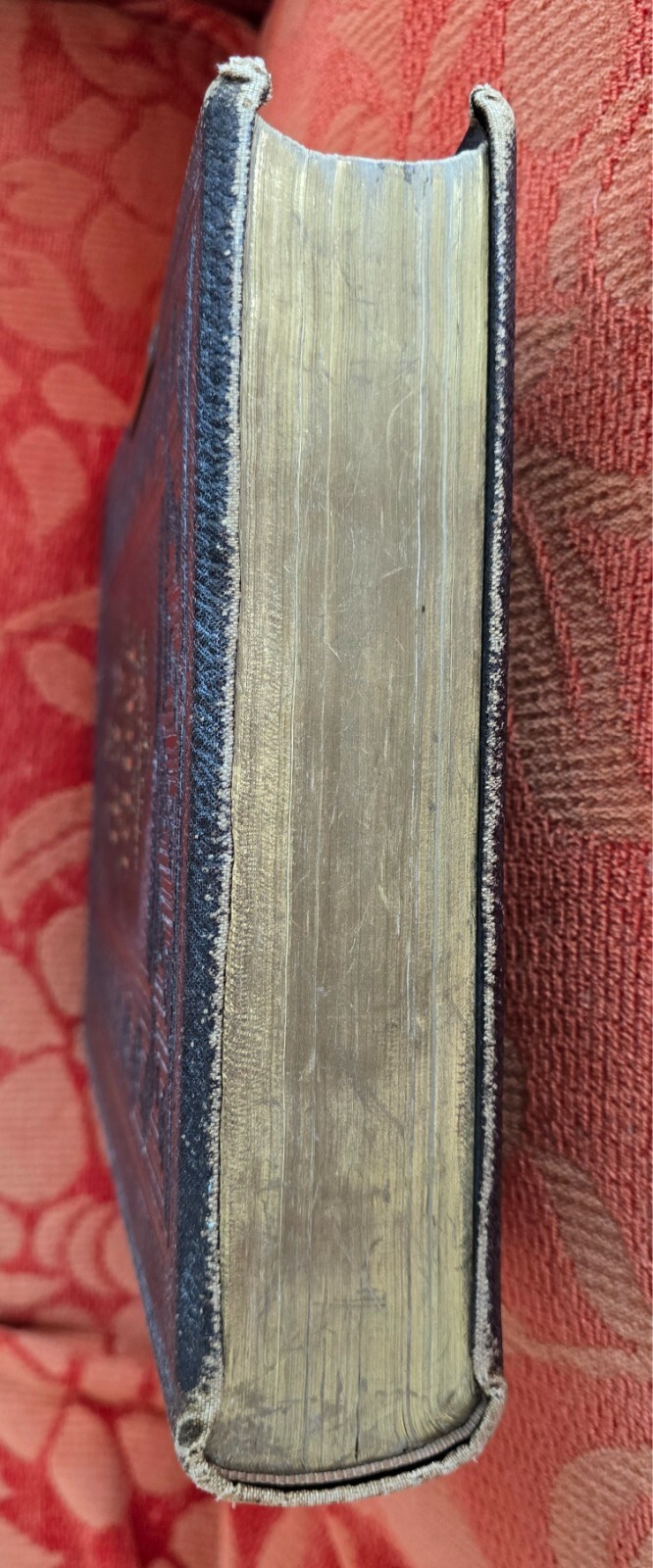 Picture 8 of 17