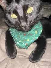 Pet Scarf Festive And Cheerful