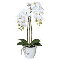 Kunstblume Mini-Orchidee Phalaenopsis Weiß, HöHe Ca. 43 Cm