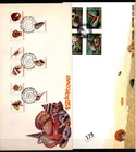 !! SINGAPORE - 2 FDC - NATURE - SEA SHELLS - MARINE LIFE - 1977