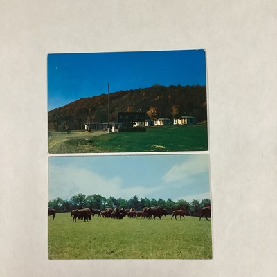 Vintage Postcards Forsyth Motel and Service Station & Buffalo Inn Lock Haven Pa