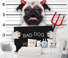 3D Animal Crying Dog R14537 Wallpaper Wall Mural Self-adhesive Removable Luna