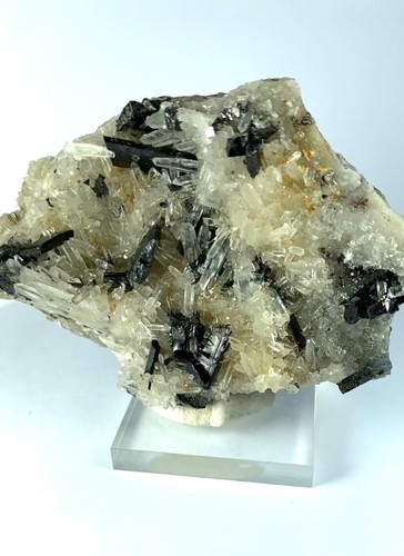 HUEBNERITE BRILLIANT CRYSTALS with CLEAR QUARTZS from PERÚ.......HUAYLLAPON MINE - Picture 2 of 8