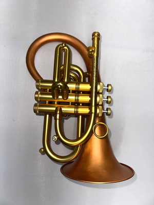 Pocket Flugelhorn / Taylor Phat Puppy - 2026 Satin/Polished Taylor 