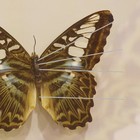 Picture 6 of 12