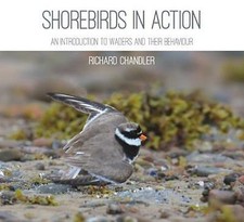 Shorebirds in Action: An Introduction to Waders and Their Behaviour by...