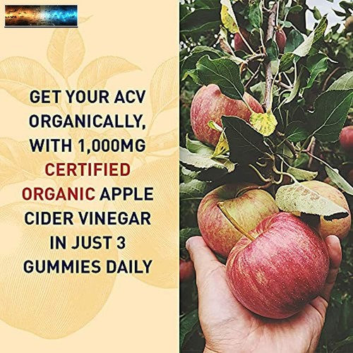 Apple Cider Vinegar Energy Gummies by Garden of Life mykind Organics - USDA Orga - Picture 2 of 9