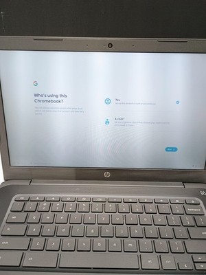 HP 14-db0023dx Chromebook Grey with charger 14 in screen tested and works!