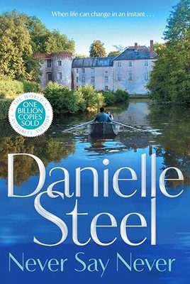 Sag niemals nie: Flucht in die französische Landschaft mit... - Steel, Danielle