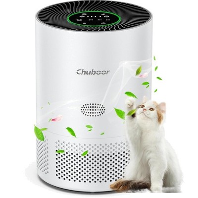 Luftreiniger HEPA Allergiker Auto Modus Smart Chuboor