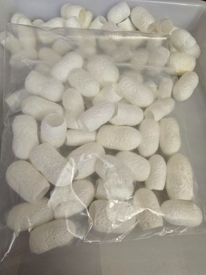 30 Raw Silk Cut Cocoons | Natural White for Fiber Arts, Spinning, and Crafting
