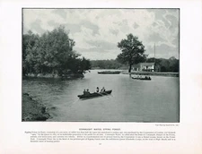 Connaught Water Epping Forest Chingford Antique Old Picture Print c1896 TQL#151
