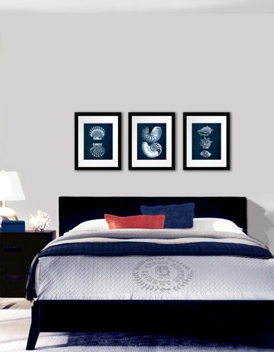 Conjunto de 3 conchas marinas decoración costera azul marino arte de pared regalo para ella - Imagen 4 de 4