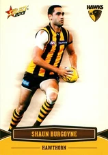 2013 HAWTHORN HAWKS AFL Premiers Card SHAUN BURGOYNE Champions