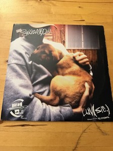 Luv sic Vinyl | eBay