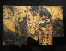 Stabilized Live Edge Buckeye Burl Blanks - Turning/Knife Scale Blanks 