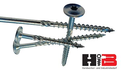 PFS+ Konstruktionsschrauben mit ETA Tellerkopf 8mm hell verz. + 1x Tx40 gratis F